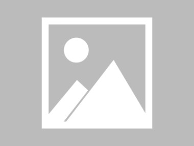 简约商务PPT设计指南，视觉美学与实用功能的全解析